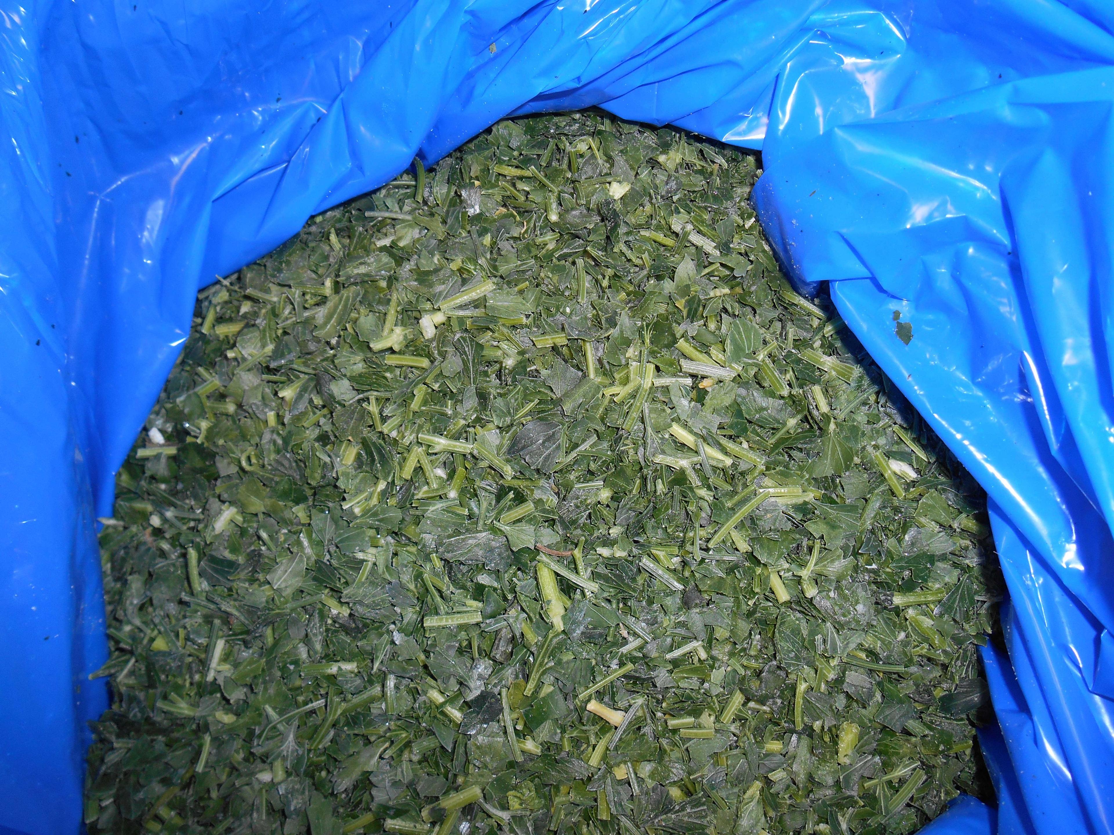 Product gallery 1615376