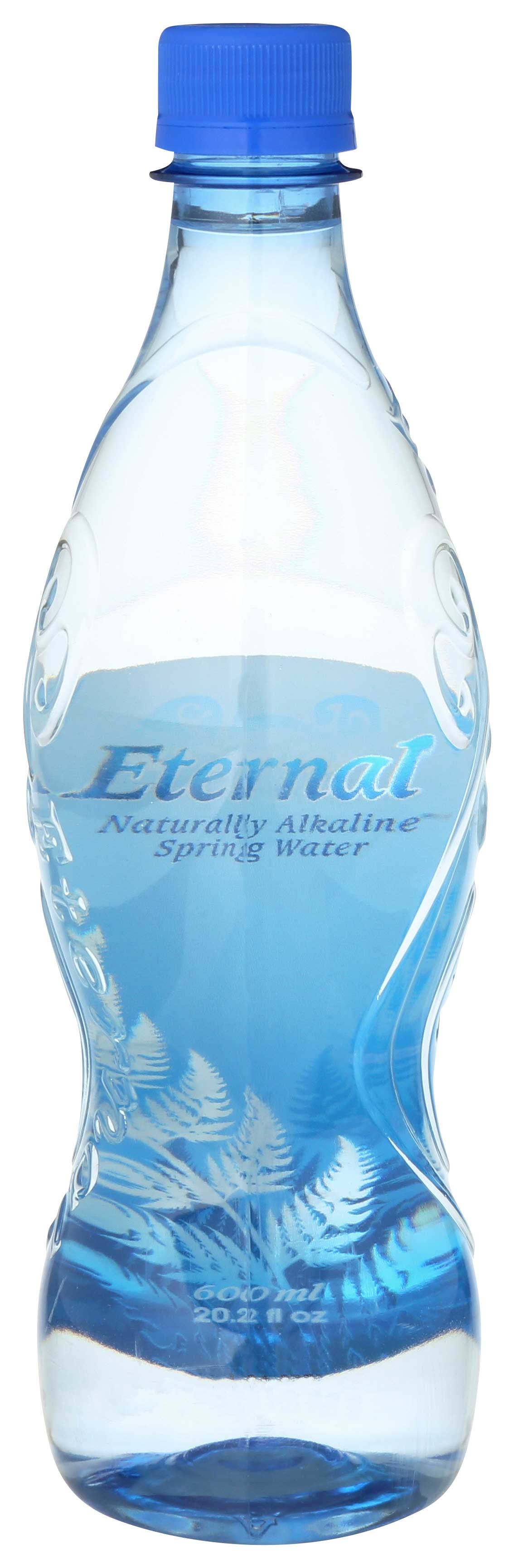 Eternal Naturally Alkaline Spring Water, 600 Milliliter -- 24 per case