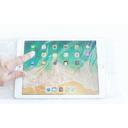 PanSaver Protective Ipad/Tablet Cover with Tape Closure, 100 count - 10 per case