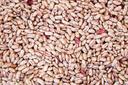 Commodity Triple Clean Pinto Bean, 25 Pound