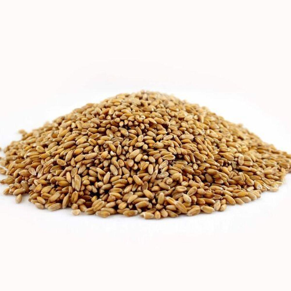 Product gallery 3084957