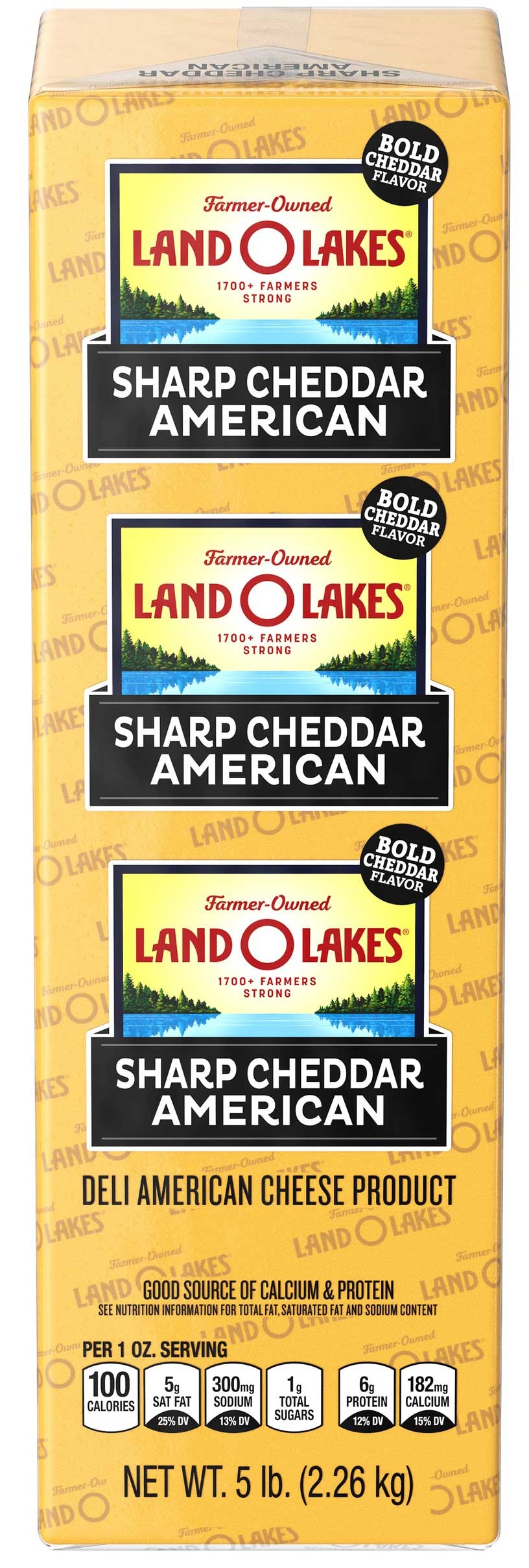 Land O Lakes Sharp Cheddar Yellow Deli American Cheese Product, 5 Pound -- 2 per case