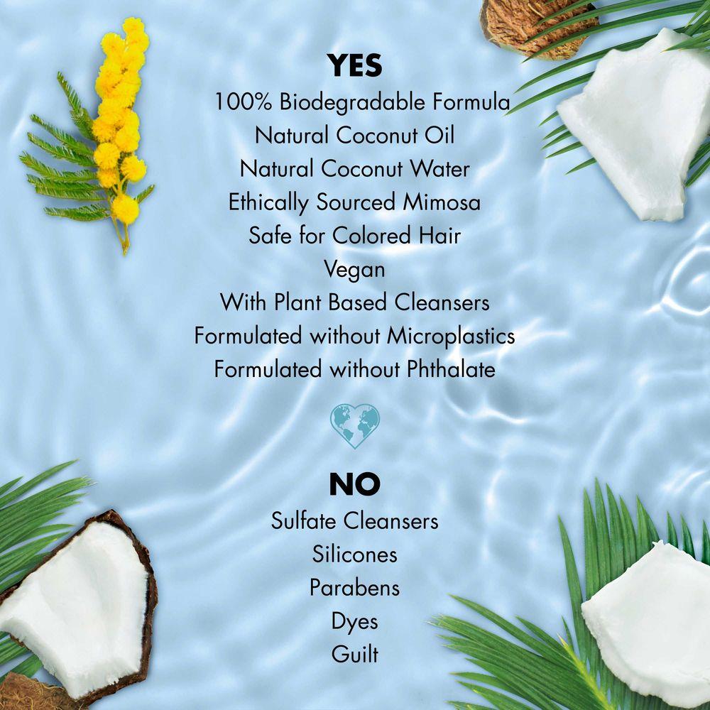 Product gallery 4332879