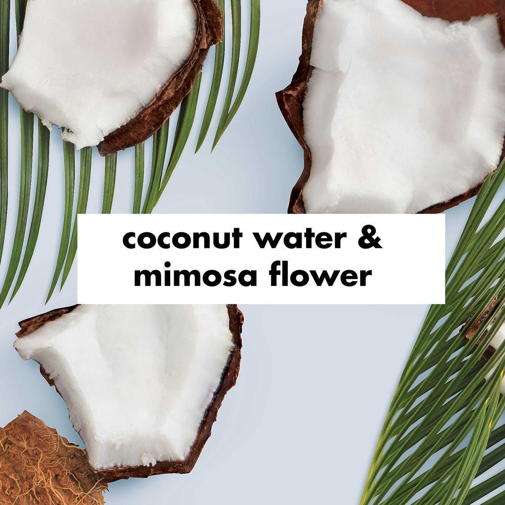 Product gallery 4332900