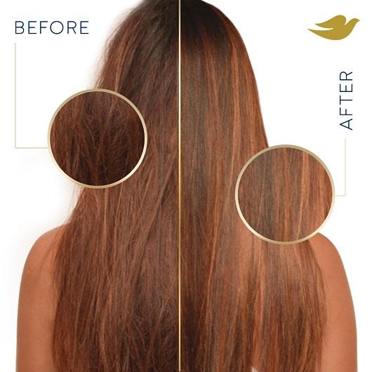 Product gallery 3799446