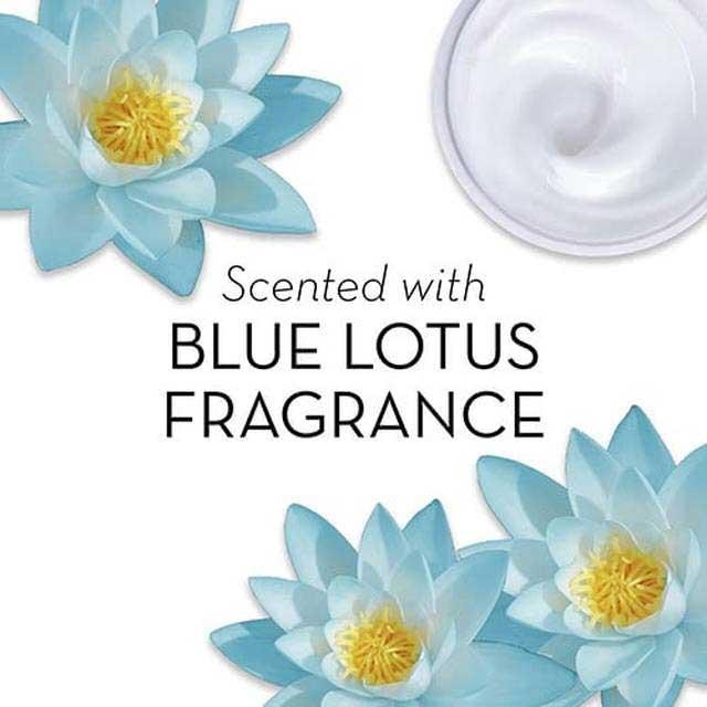 Product gallery 1840286