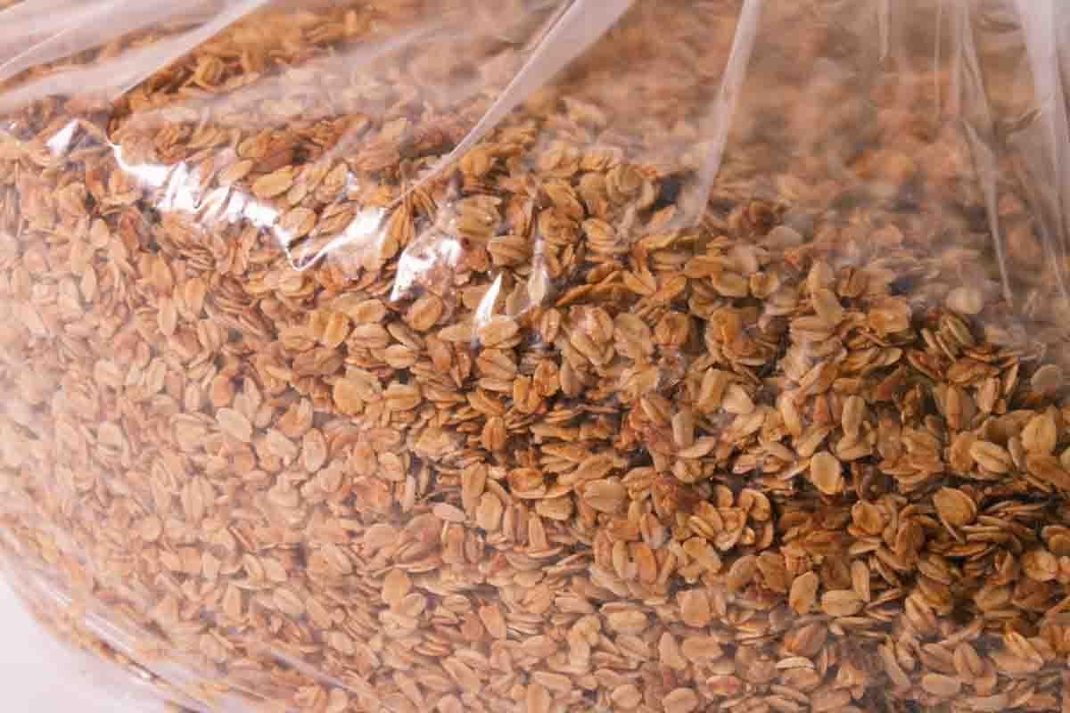 Product gallery 3561908