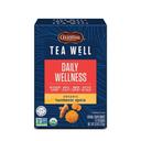 Tea Well Turmeric Spice Herb Tea, 12 count -- 6 per case