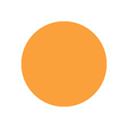 National Checking Orange Circle Permanent Label, 5 inch -- 1000 per case.