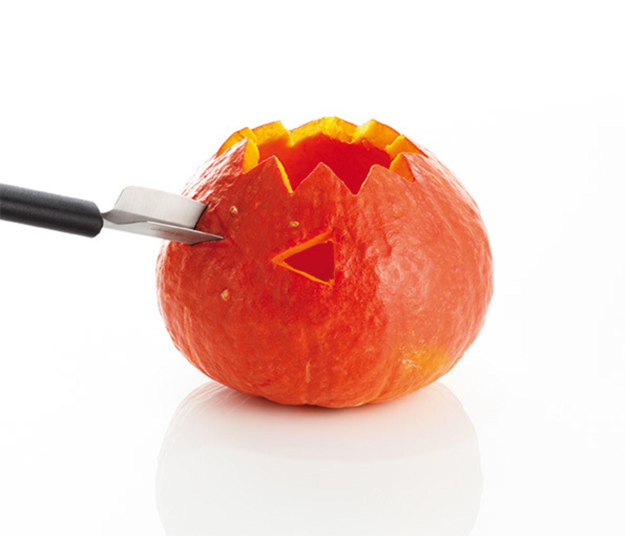 Product gallery 3906155