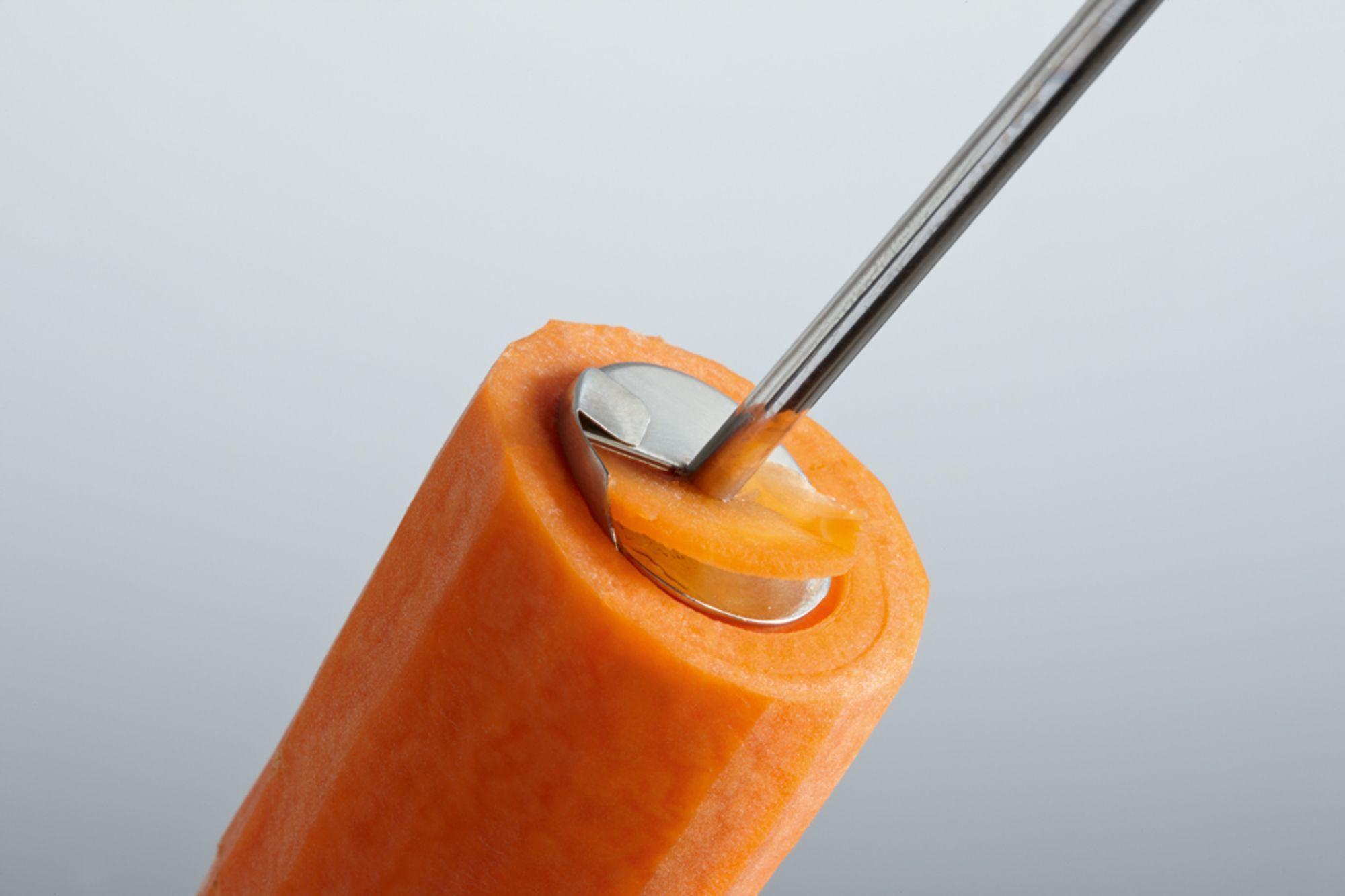 Product gallery 3906188