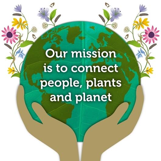 Product gallery 2918506