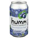 Humm Blueberry Mint Kombucha, 12 Fluid Ounce -- 6 per case