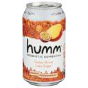 Humm Mango Passionfruit Probiotic Kombucha, 12 Fluid Ounce -- 6 per case