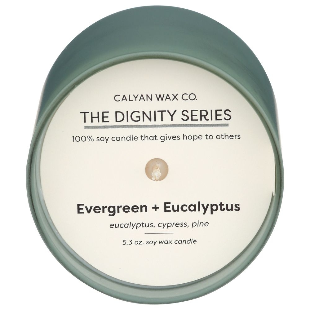 Calyan Wax Evergreen Plus Eucalyptus Soy Candle, 5.3 Ounce -- 6 per case