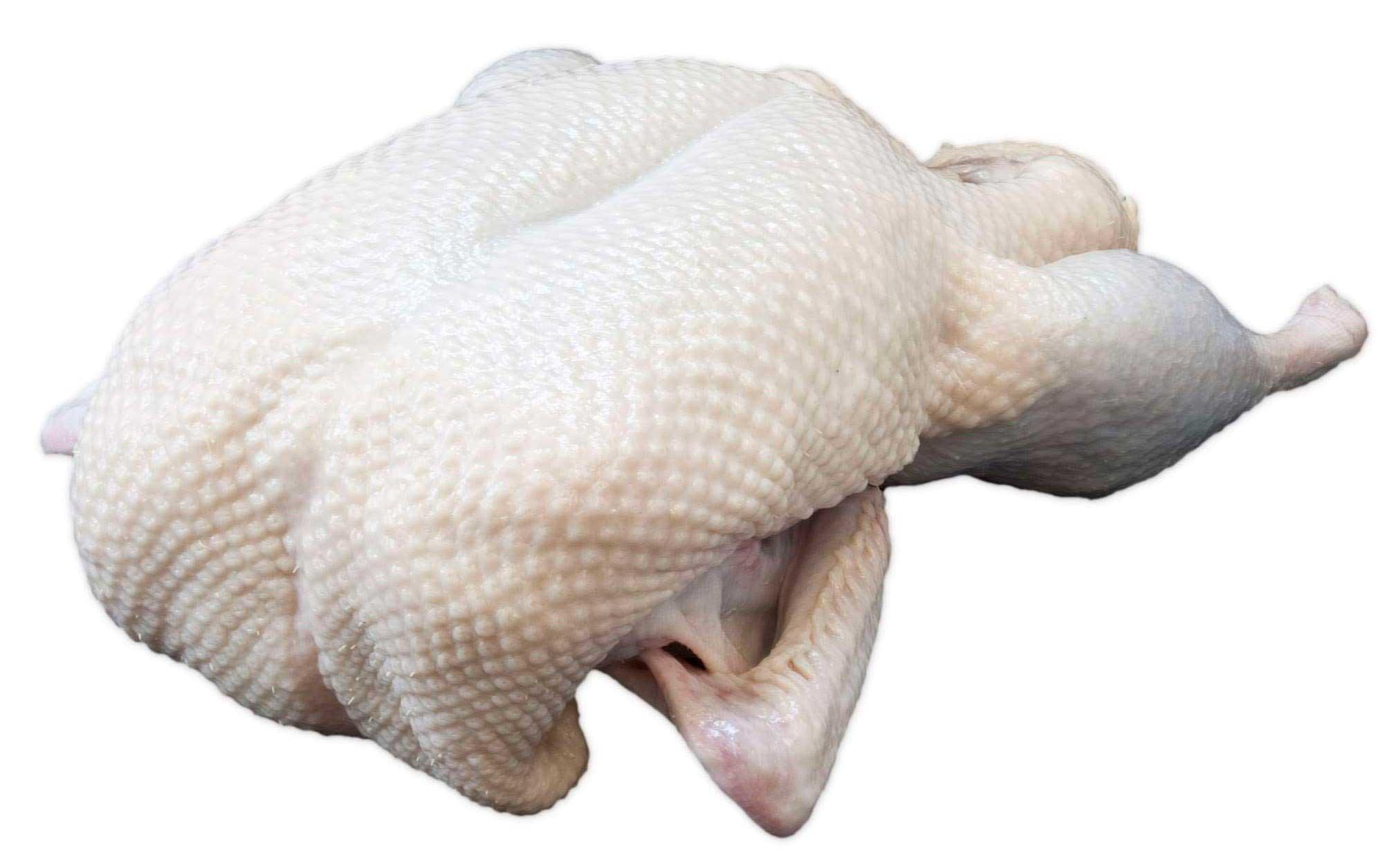 Product gallery 2479458