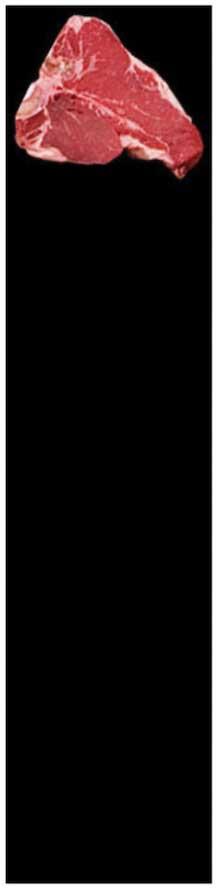 Product gallery 2491267