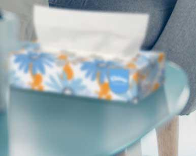 Product gallery 2488591