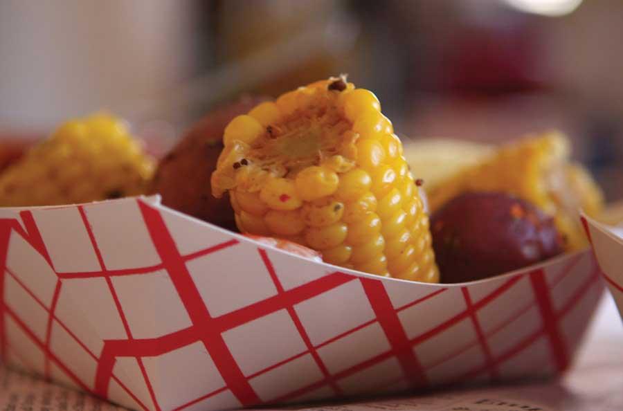 Product gallery 2492899